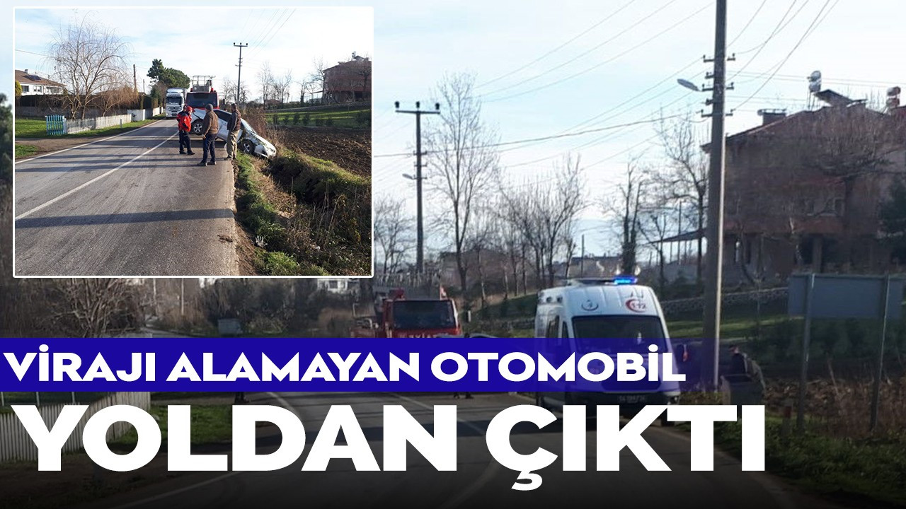 Virajı alamayan otomobil yoldan çıktı