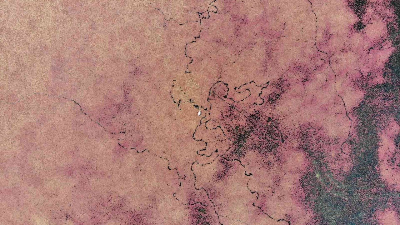 Eğrelti otuyla kızıla bürünen Kızılırmak Deltası’ndan eşsiz görüntüler