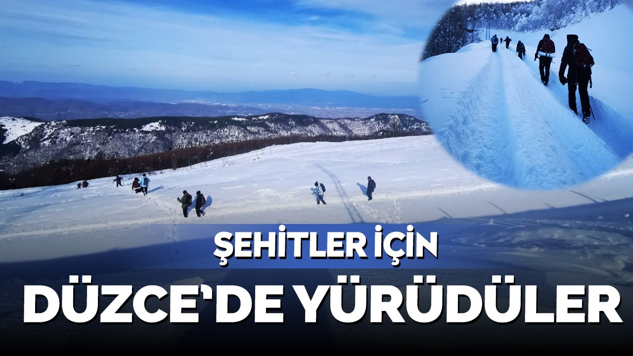 Şehitler için Düzce'de yürüdüler