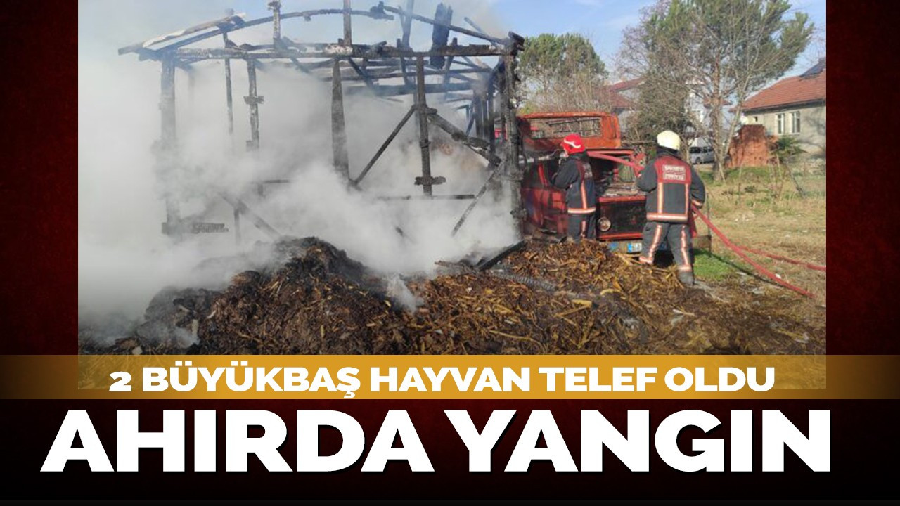 Ahırda yangın: 2 büyükbaş hayvan telef oldu