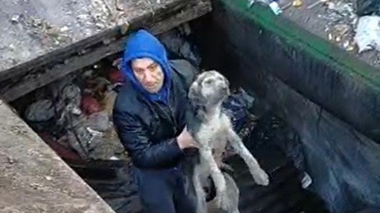 Çöp ayrıştırma makinesine düşen köpek kurtarıldı