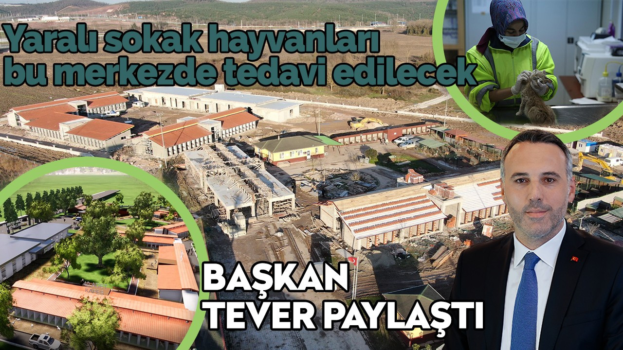 Başkan Tever paylaştı! Yaralı sokak hayvanları bu merkezde tedavi edilecek