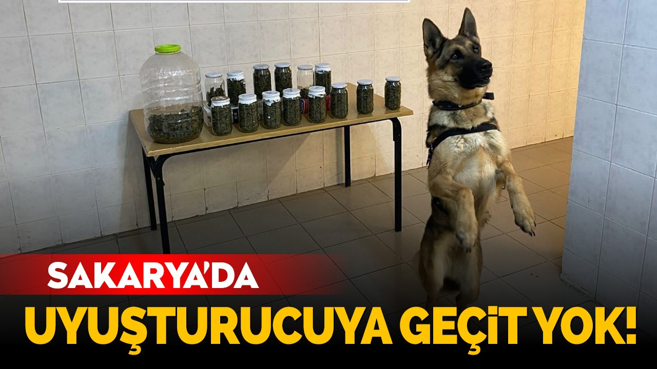 Sakarya'da uyuşturucuya geçit yok