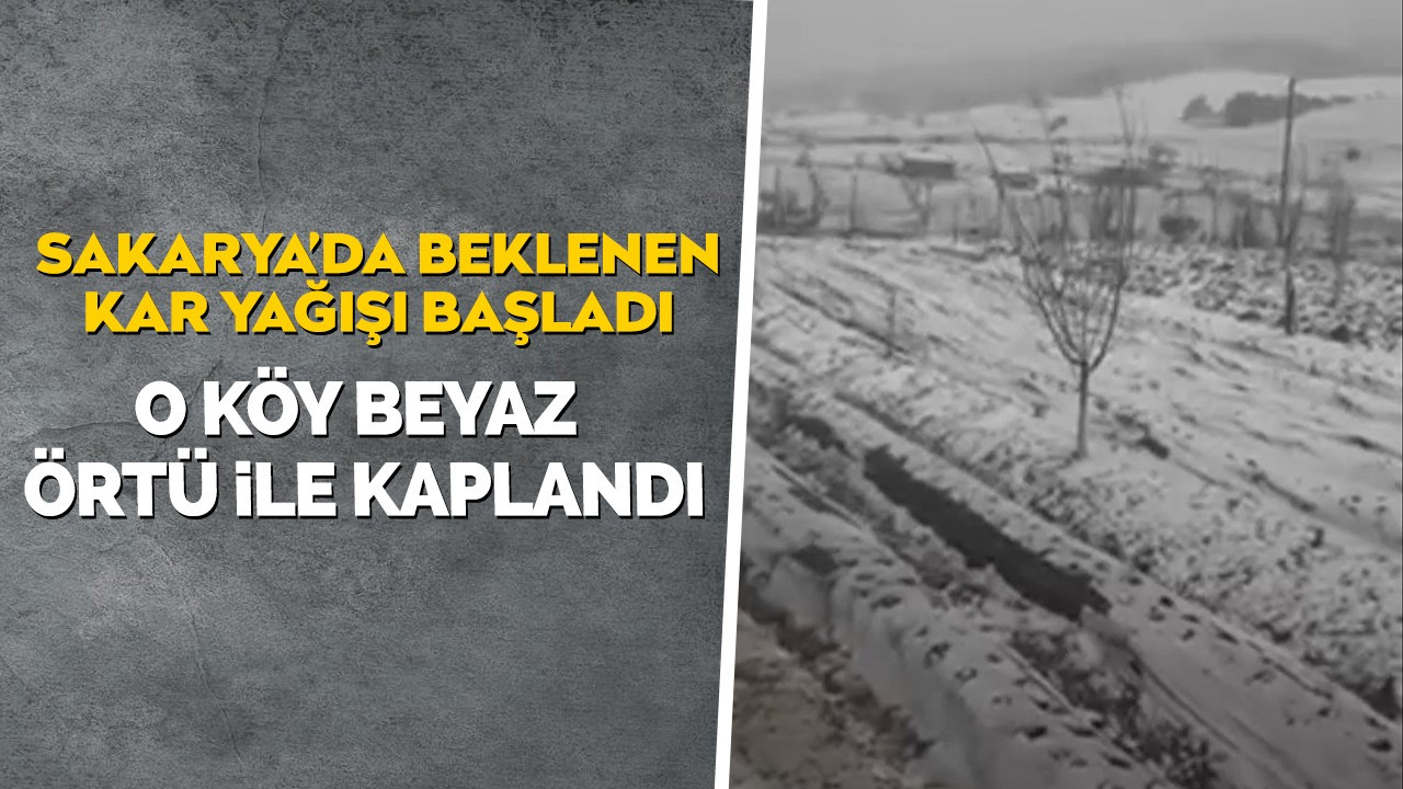 Sakarya'da beklenen kar yağışı başladı! O köy beyaz örtü ile kaplandı