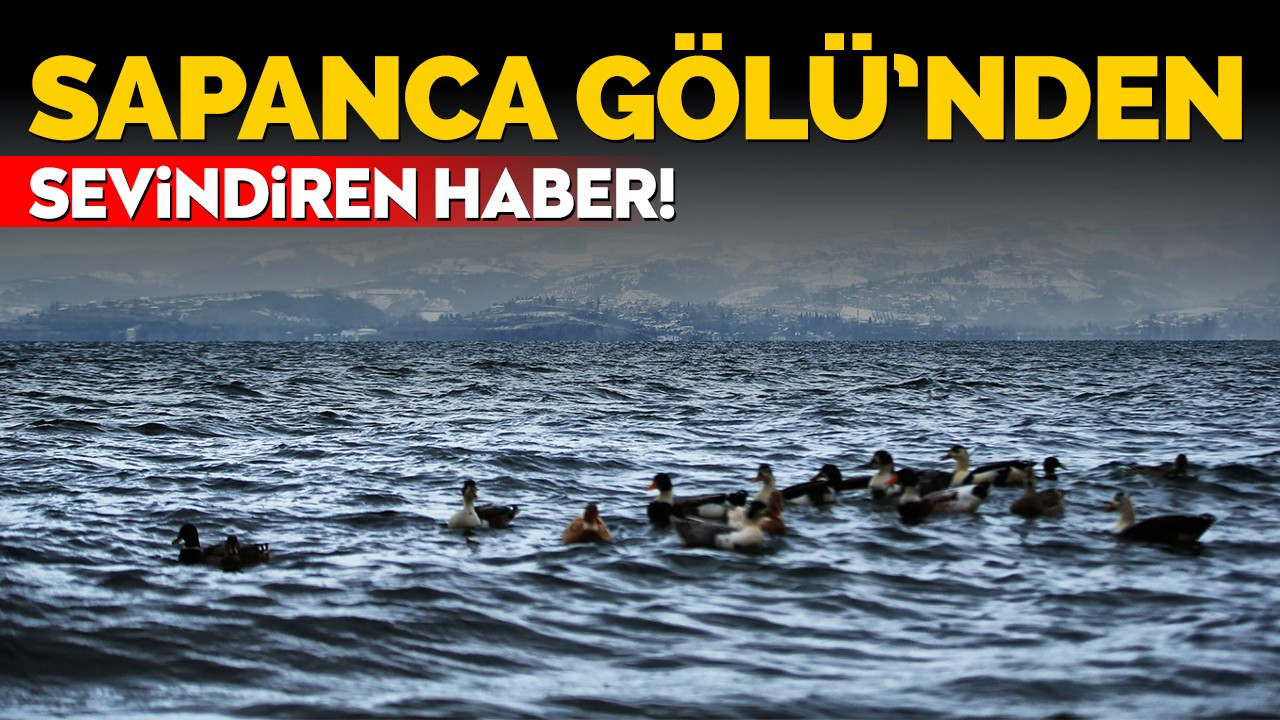 Sapanca Gölü'nden sevindiren haber