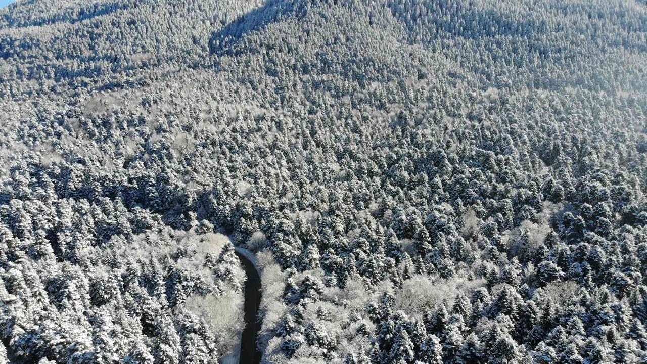 Bolu’nun karla kaplı ormanları havadan görüntülendi