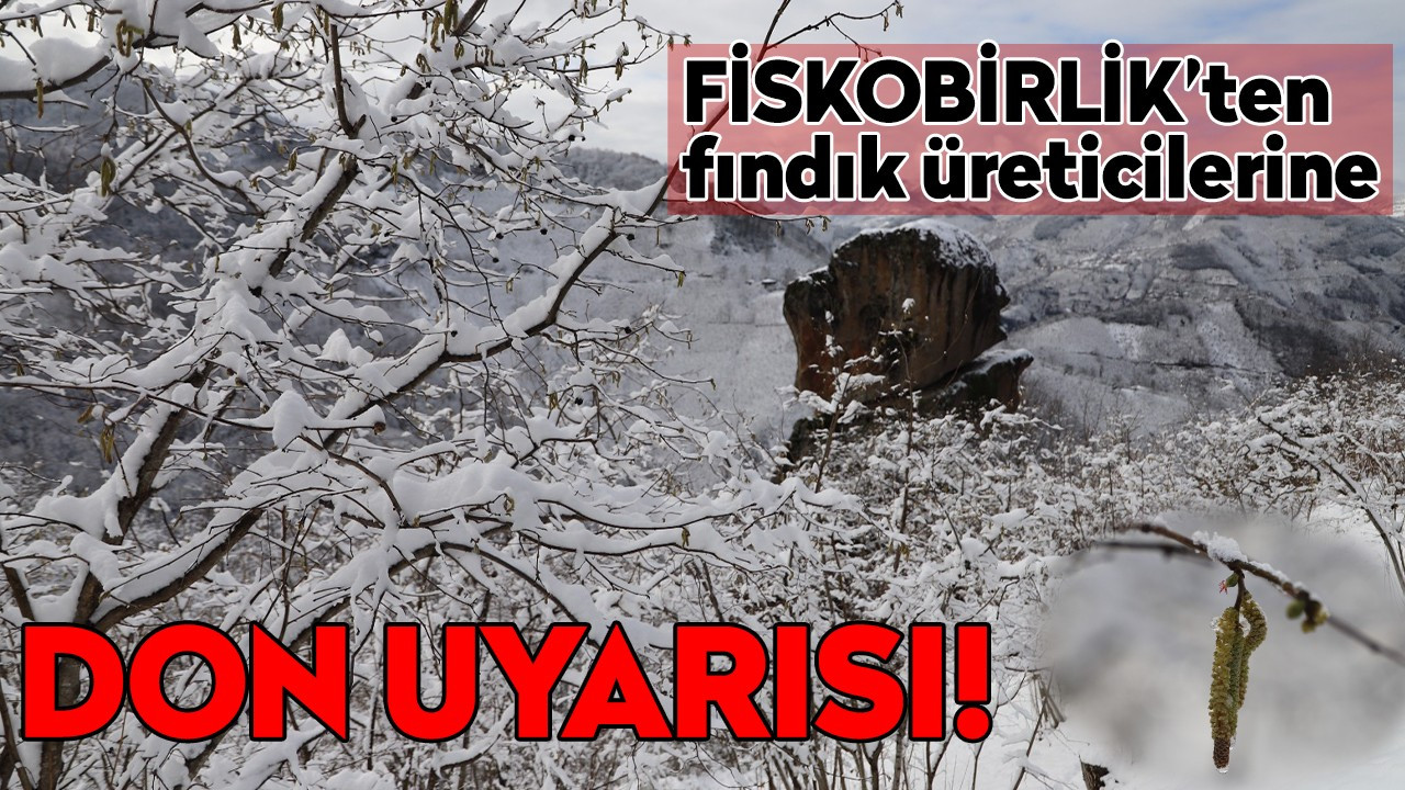 FİSKOBİRLİK fındık üreticilerini uyardı