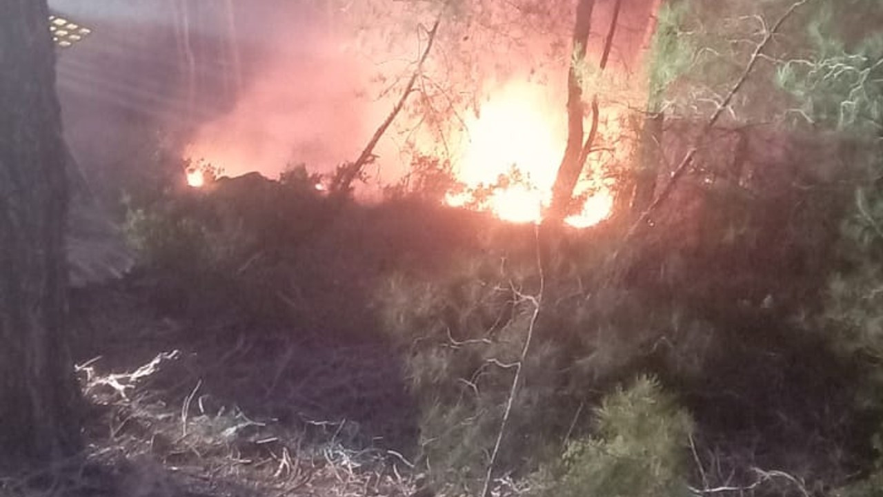 Muğla'da orman yangını büyümeden söndürüldü