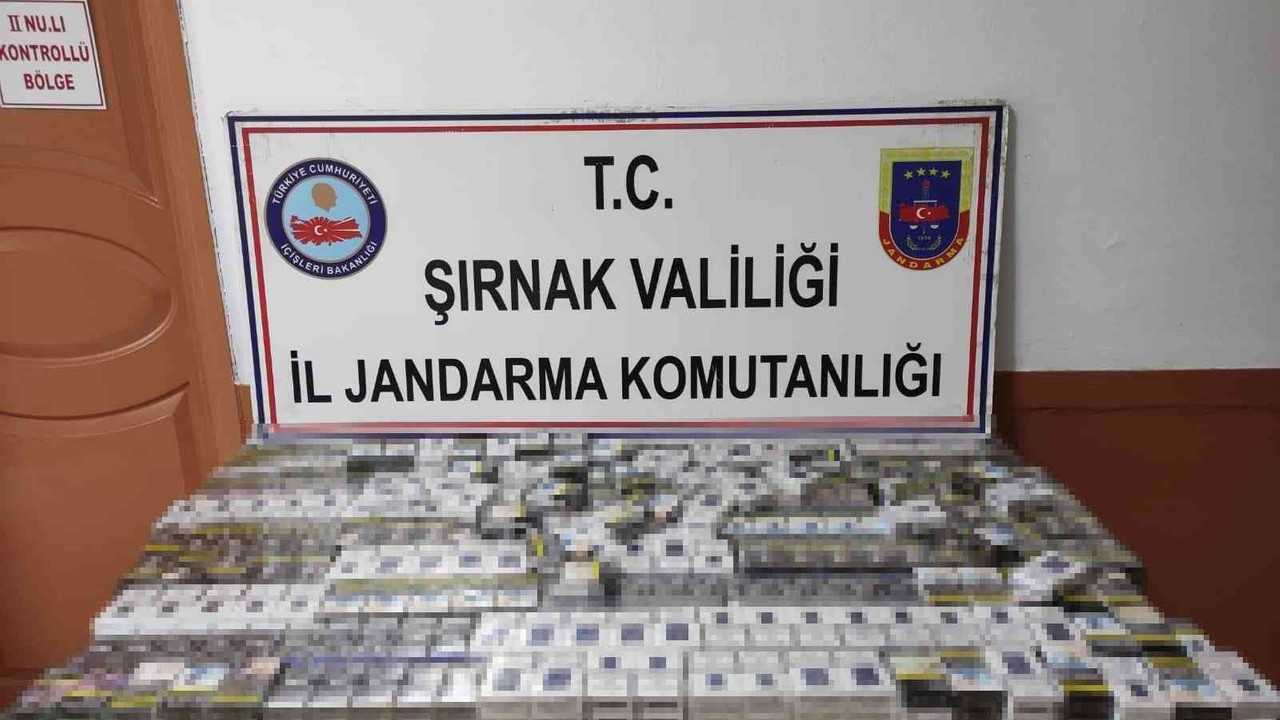 Şırnak’ta kaçakçılık operasyon: 81 gözaltı