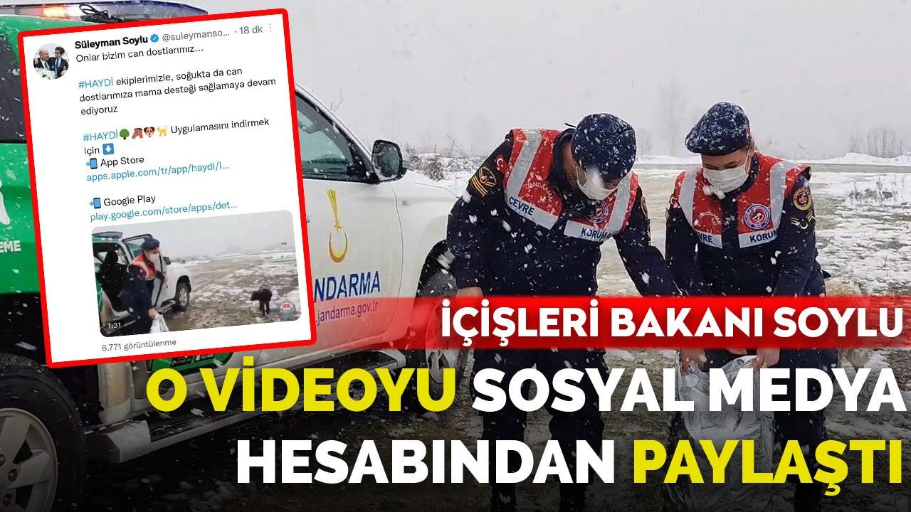 İçişleri Bakanı Soylu, o videoyu sosyal medya hesabından paylaştı