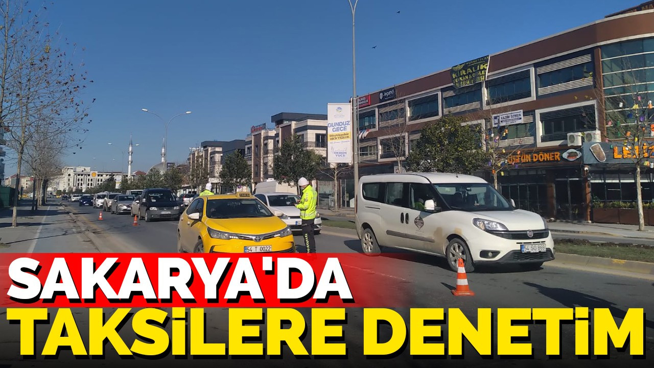 Sakarya'da taksilere denetim