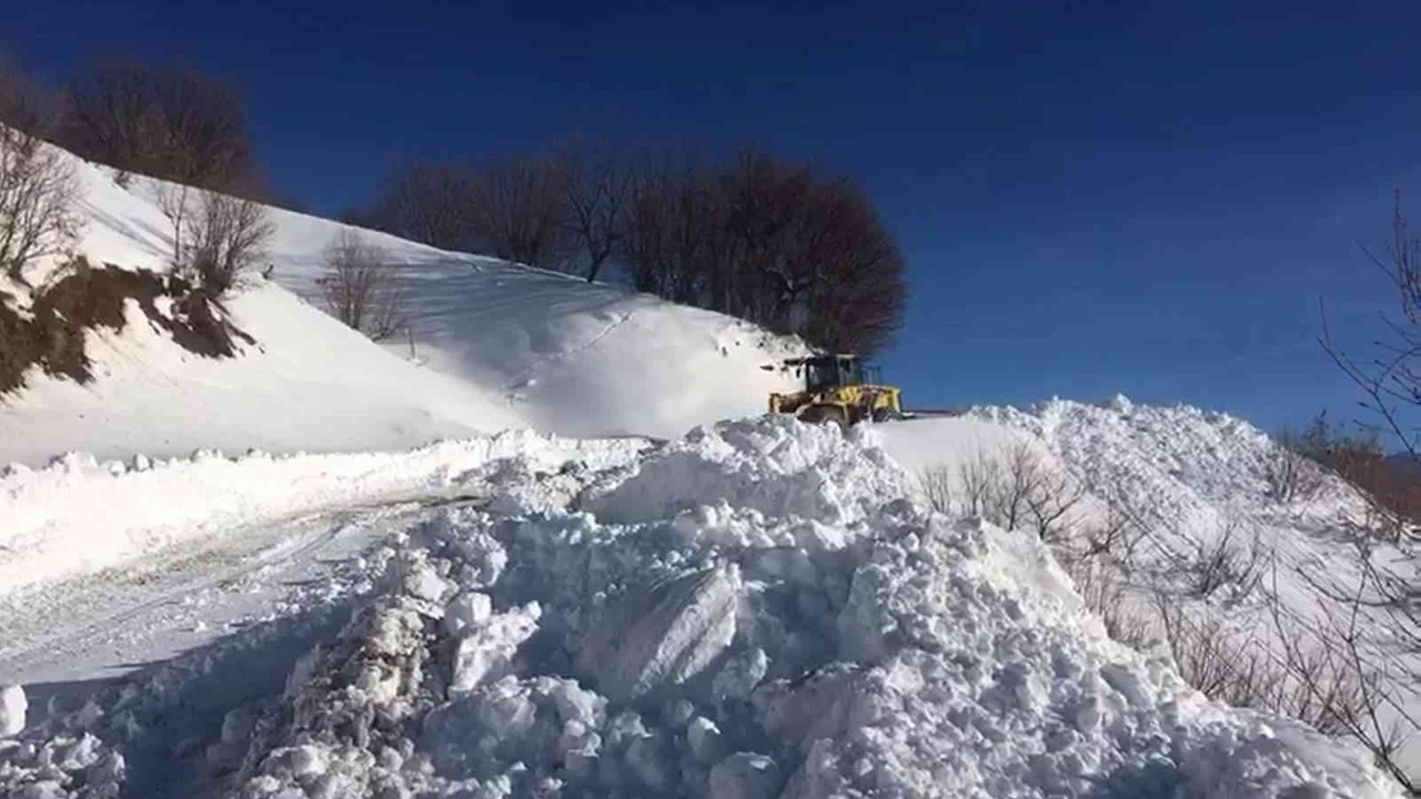 Siirt’te kar nedeniyle 73 köy yoluna ulaşım sağlanamıyor