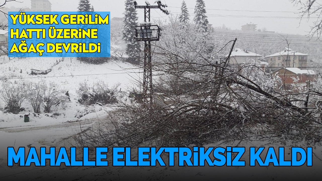 Yüksek gerilim hattı üzerine ağaç devrildi mahalle elektriksiz kaldı