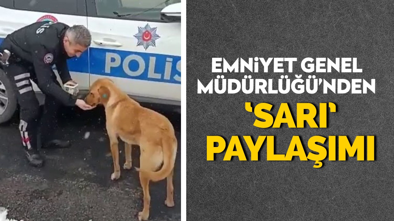 Emniyet Genel Müdürlüğü’nden 'Sarı' paylaşımı