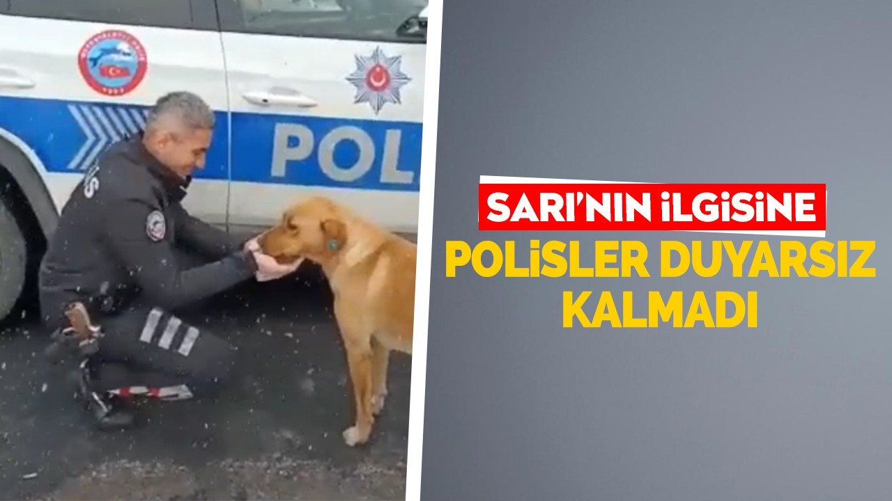 Sarı’nın ilgisine polisler duyarsız kalmadı