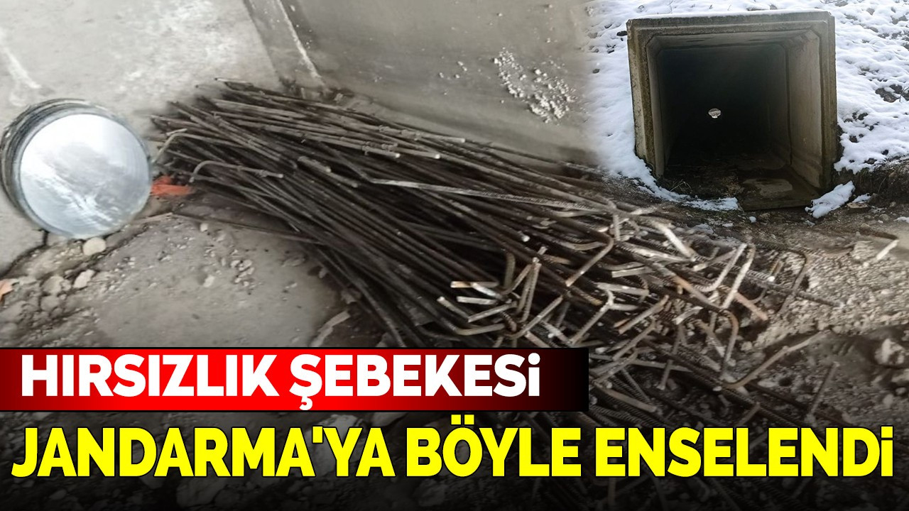 Hırsızlık şebekesi Jandarma'ya böyle enselendi