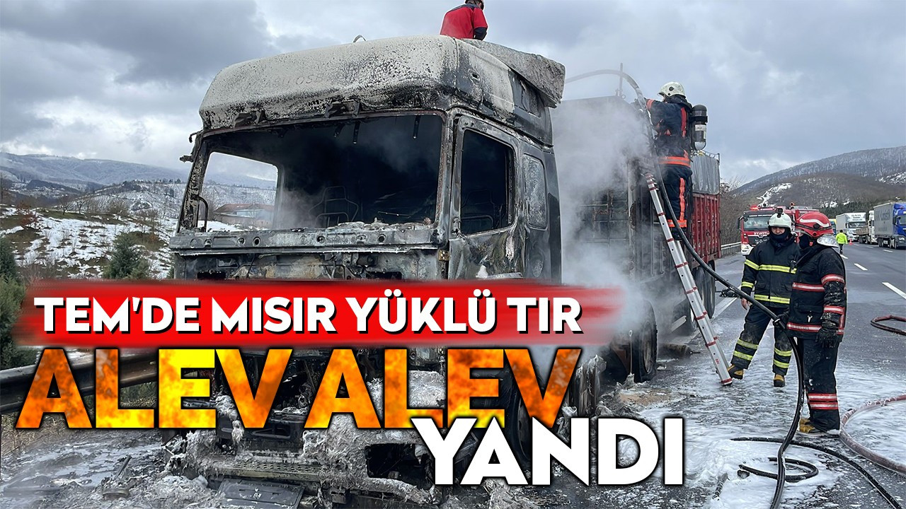 TEM'de mısır yüklü TIR alev alev yandı