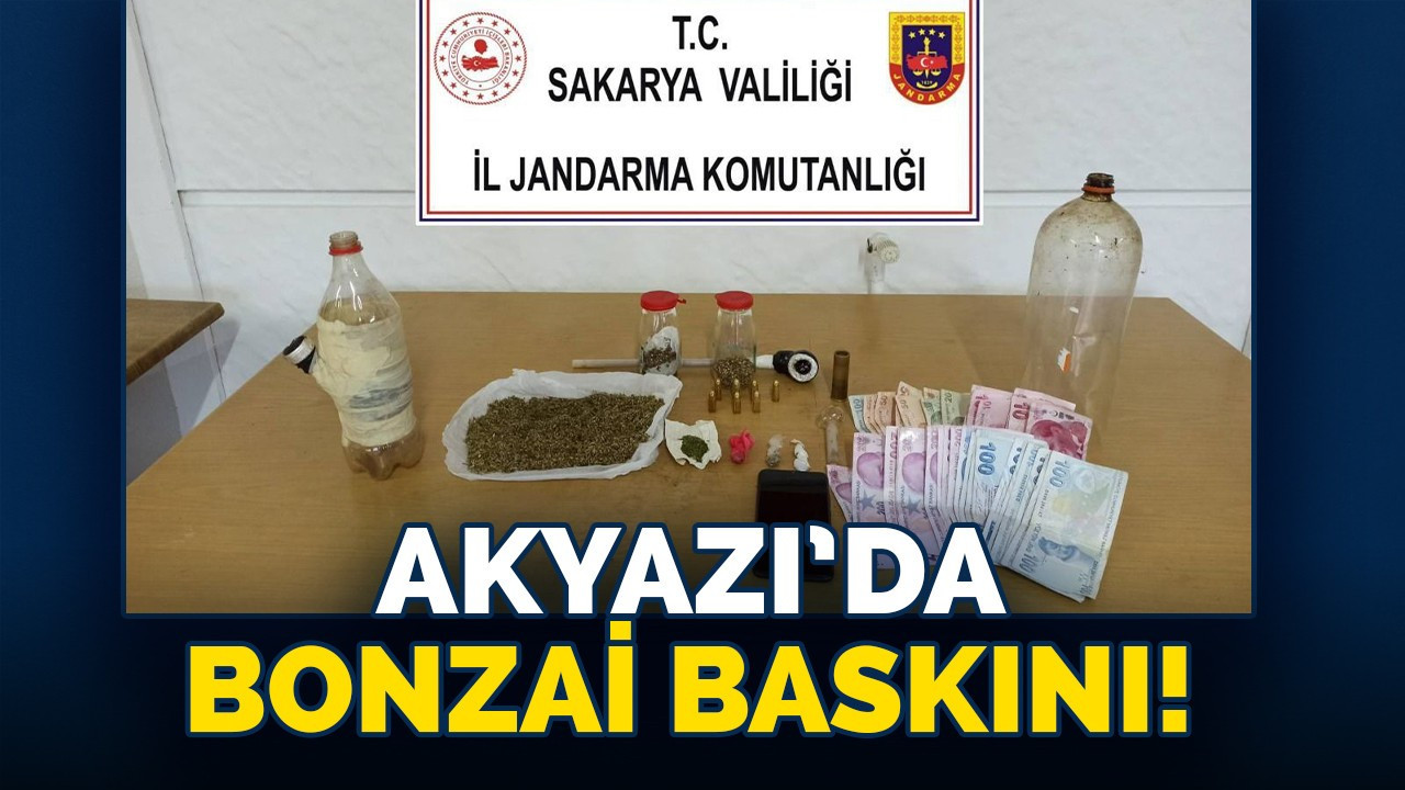 Akyazı'da bonzai baskını!