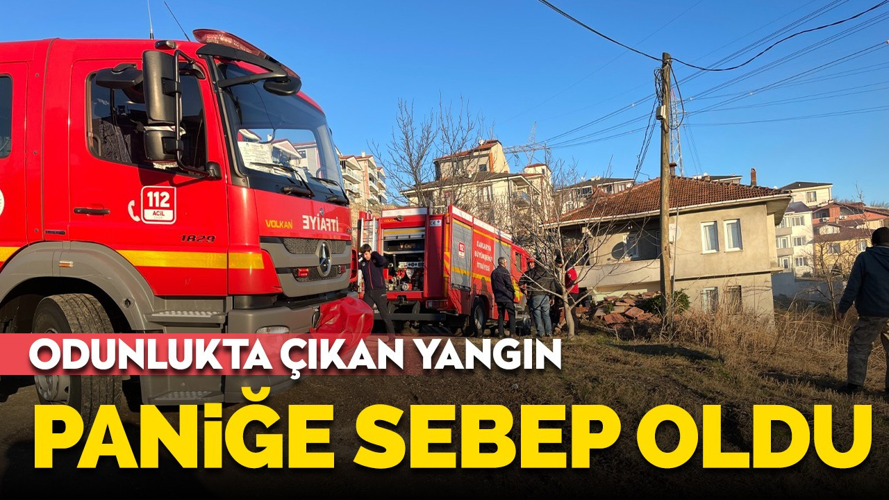 Odunlukta çıkan yangın paniğe sebep oldu