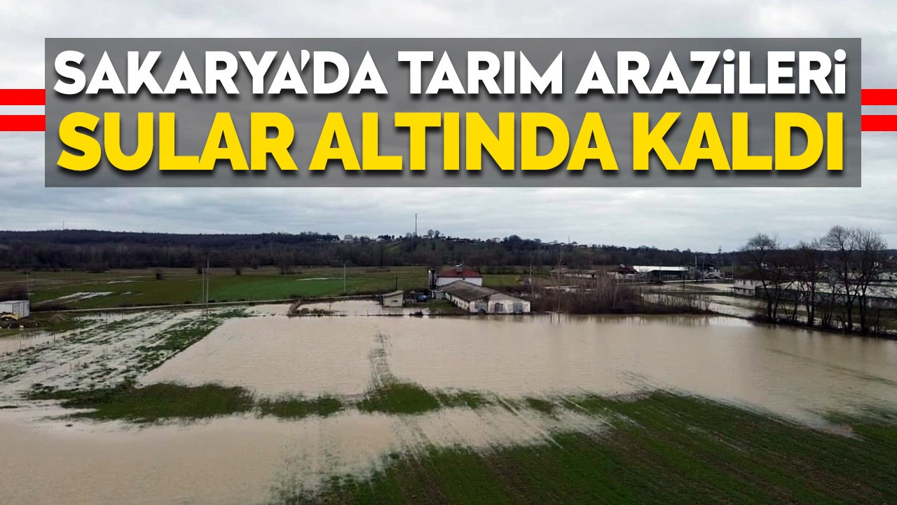 Sakarya’da tarım arazileri sular altında kaldı