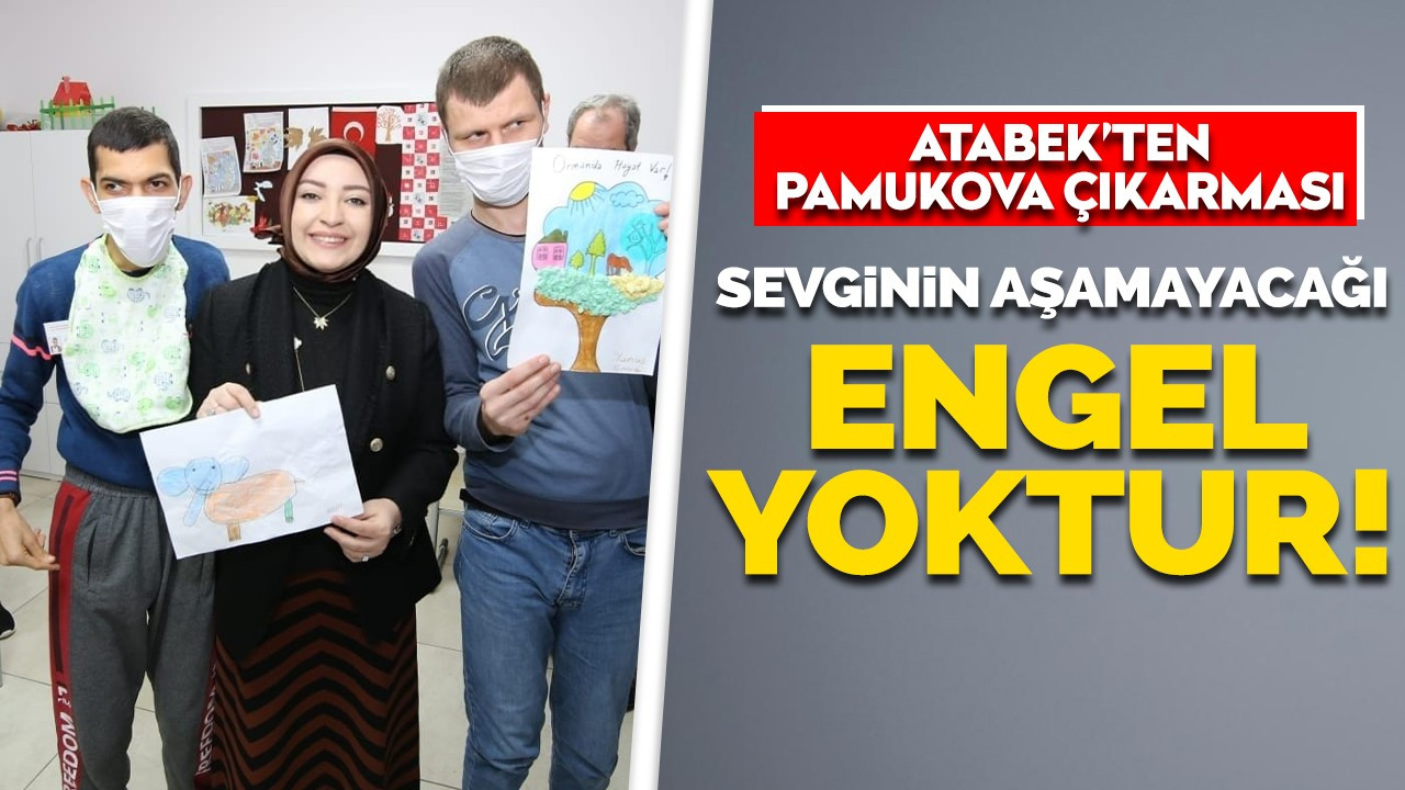 Atabek'ten Pamukova çıkarması