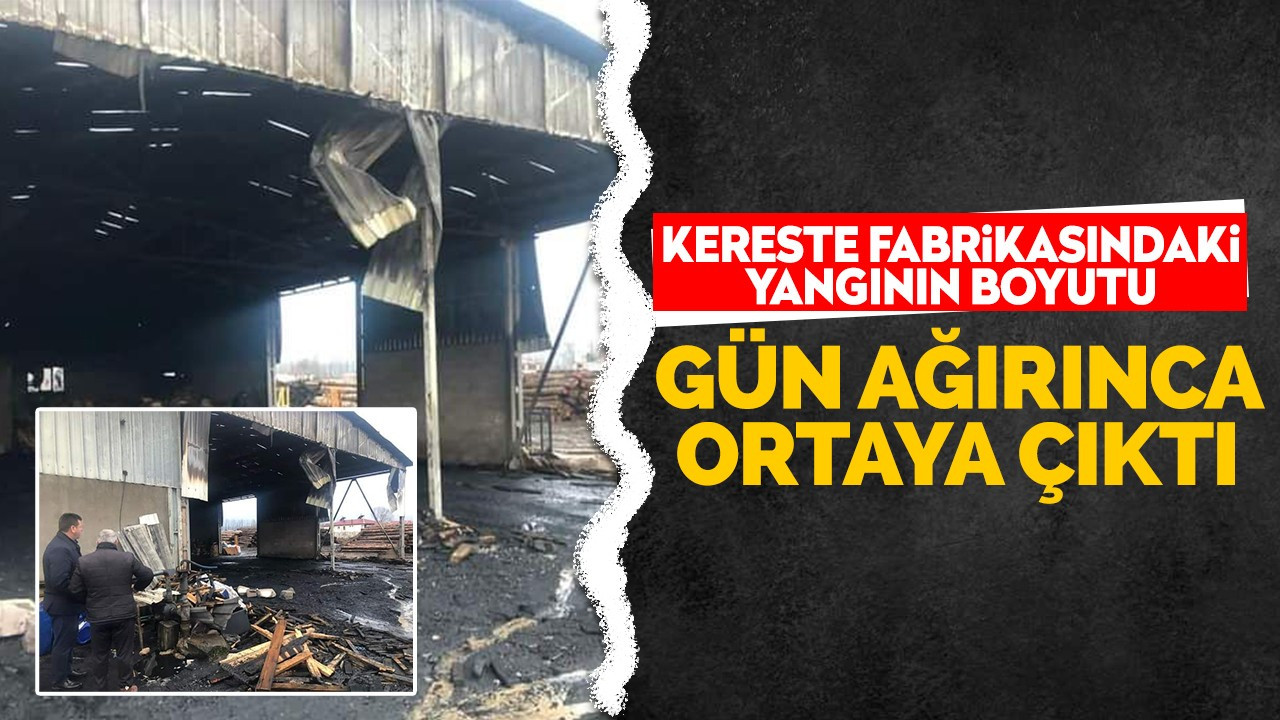 Kereste fabrikasındaki yangının boyutu gün ağarınca ortaya çıktı