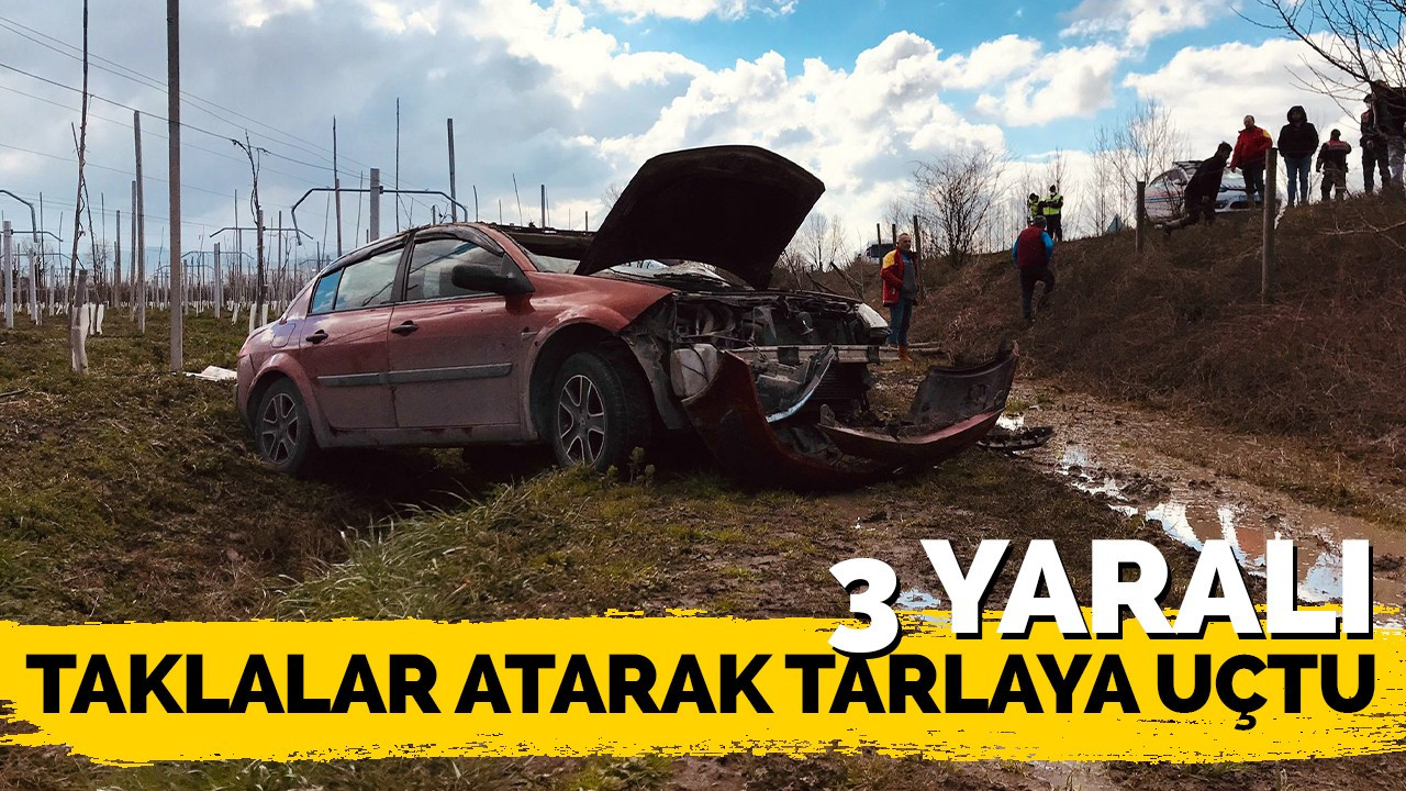 Taklalar atarak tarlaya uçtu: 3 yaralı