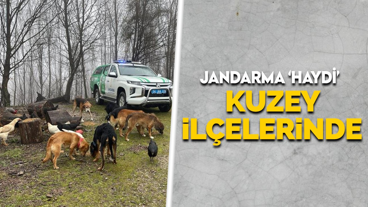 Jandarma HAYDİ Kuzey İlçelerinde