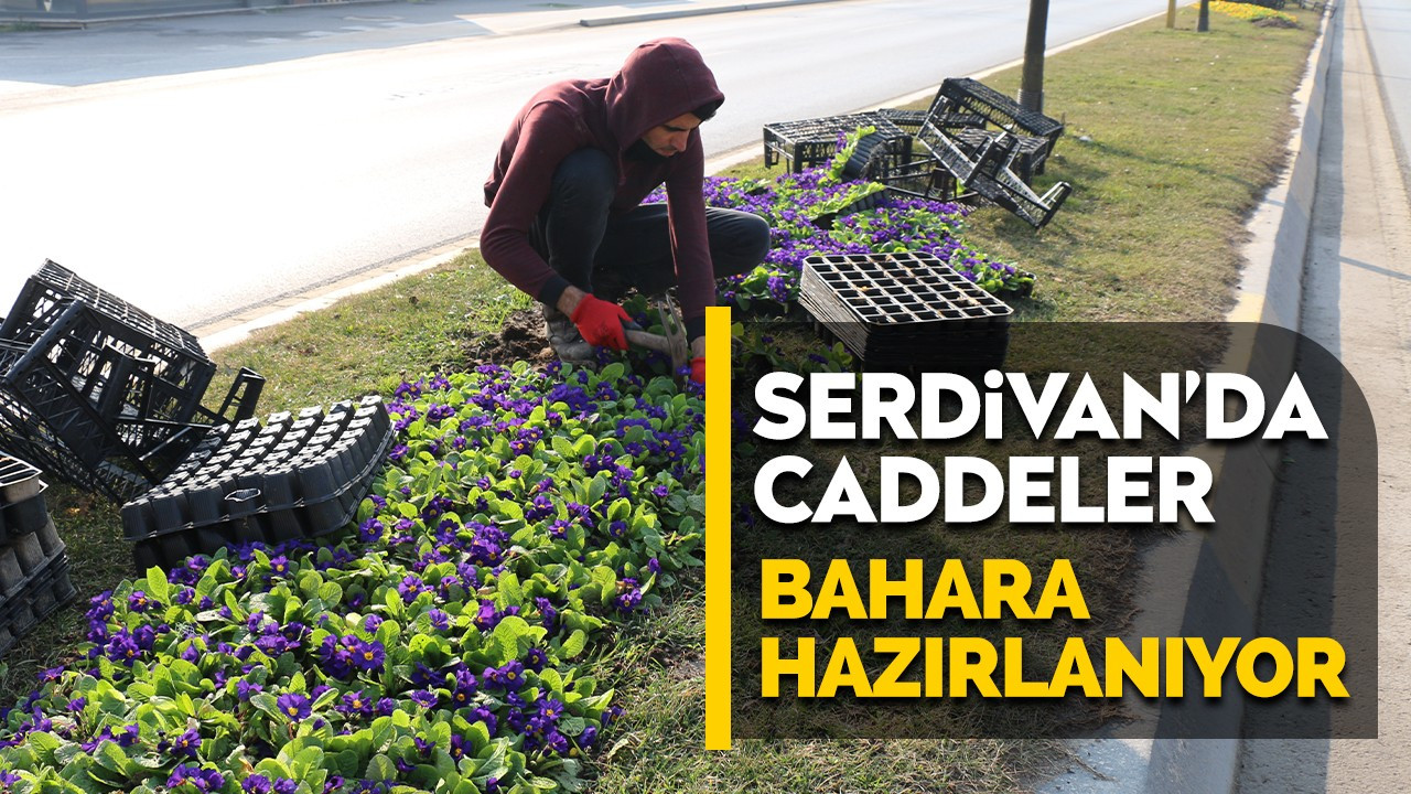 Serdivan’da caddeler bahara hazırlanıyor