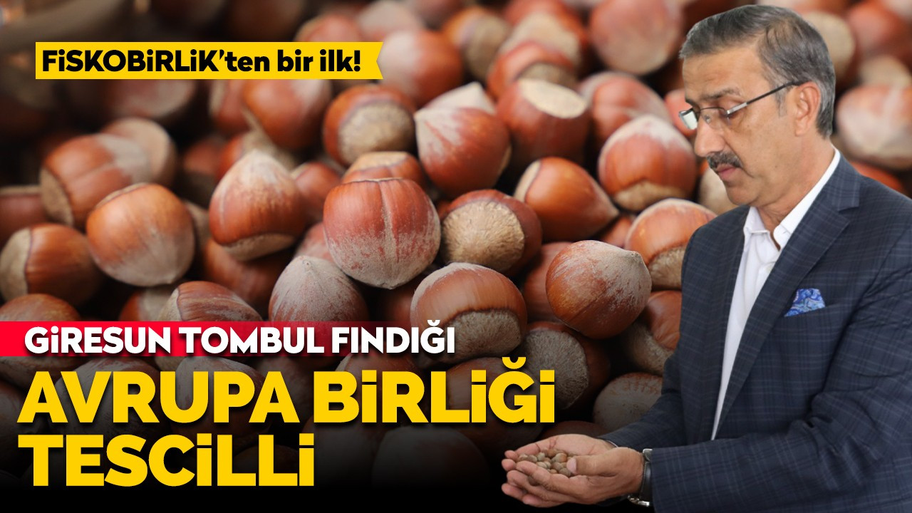 FİSKOBİRLİK’TEN BİR İLK: GİRESUN TOMBUL FINDIĞI ARTIK AVRUPA BİRLİĞİ TESCİLLİ