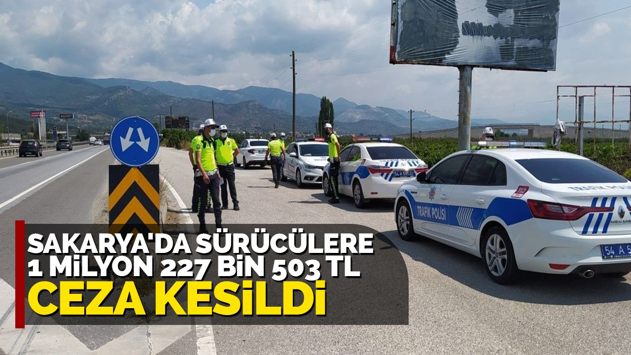 Sakarya'da 5 günde bin 958 sürücüye 1 milyon 227 bin 503 TL ceza