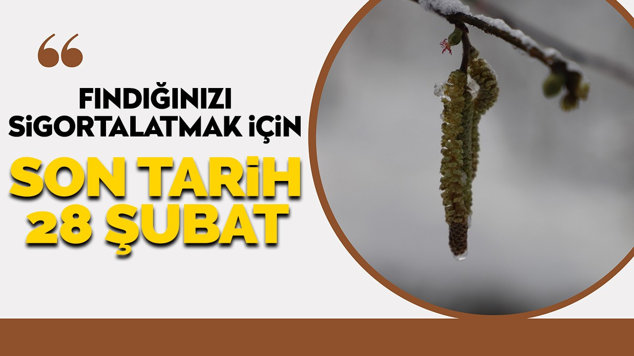 FINDIĞINIZI SİGORTALATMAK İÇİN SON TARİH 28 ŞUBAT