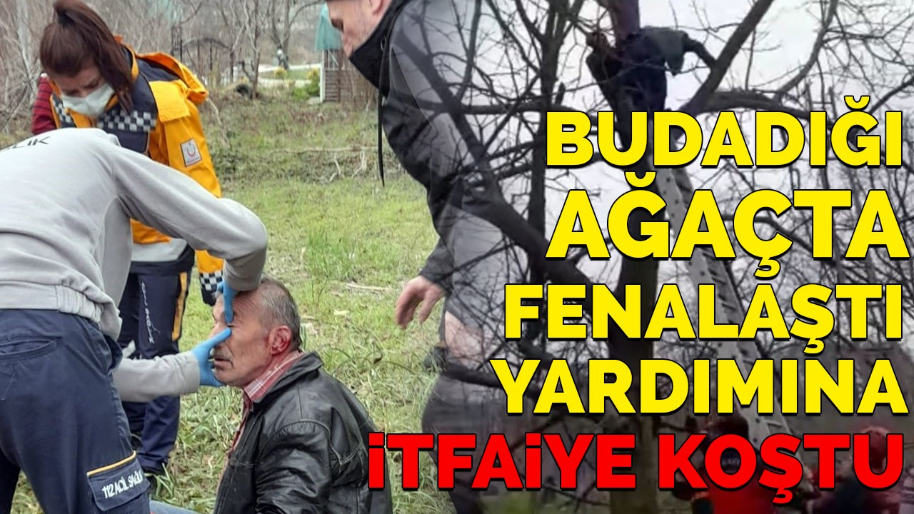 Budadığı ağaçta fenalaştı, yardımına itfaiye koştu