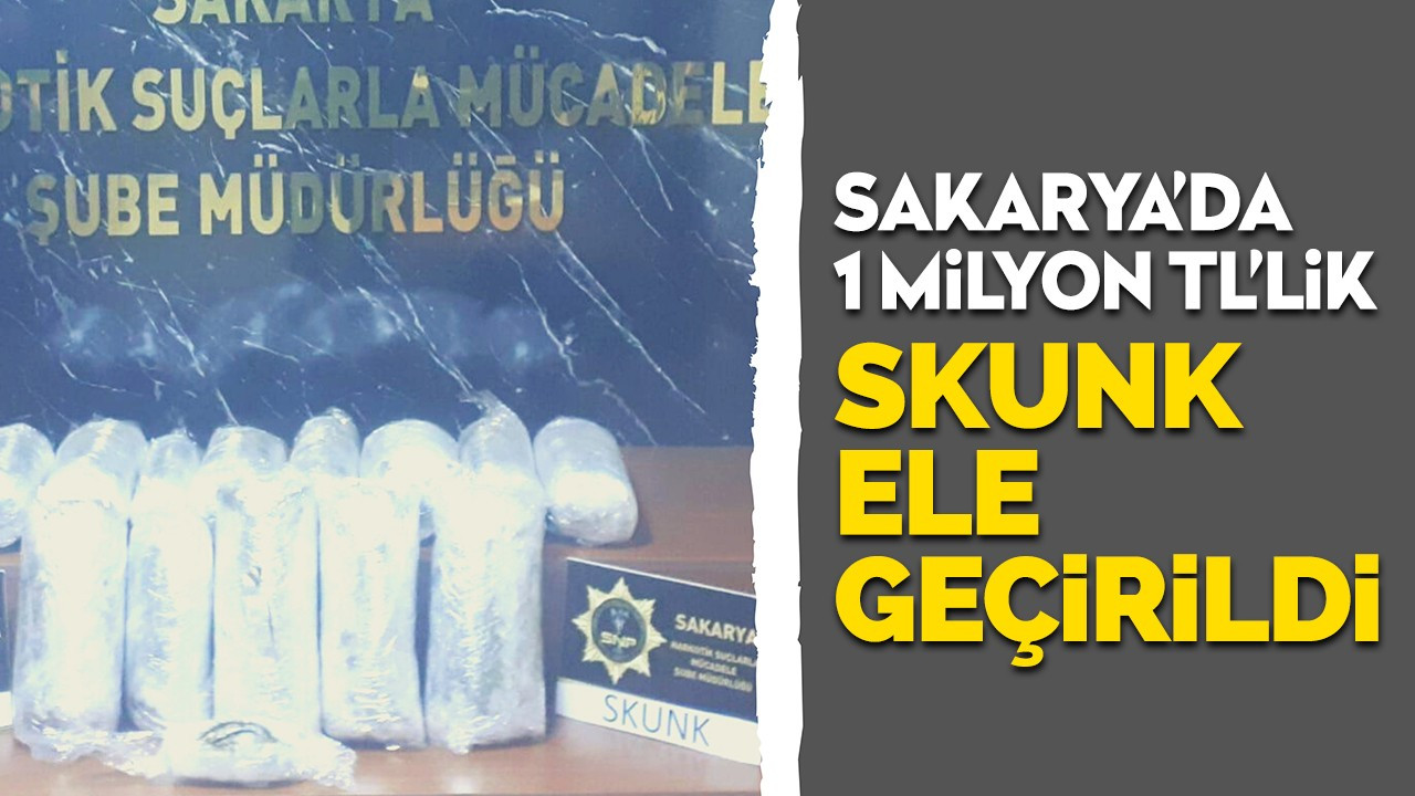 Sakarya'da 1 milyon TL'lik 'skunk' ele geçirildi