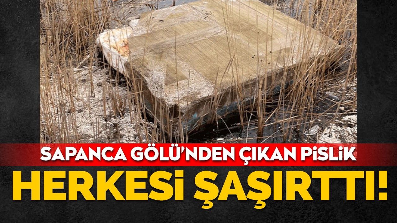 Sapanca Gölü'nden çıkan pislik herkesi şaşırttı! Yatağın orada ne işi var?