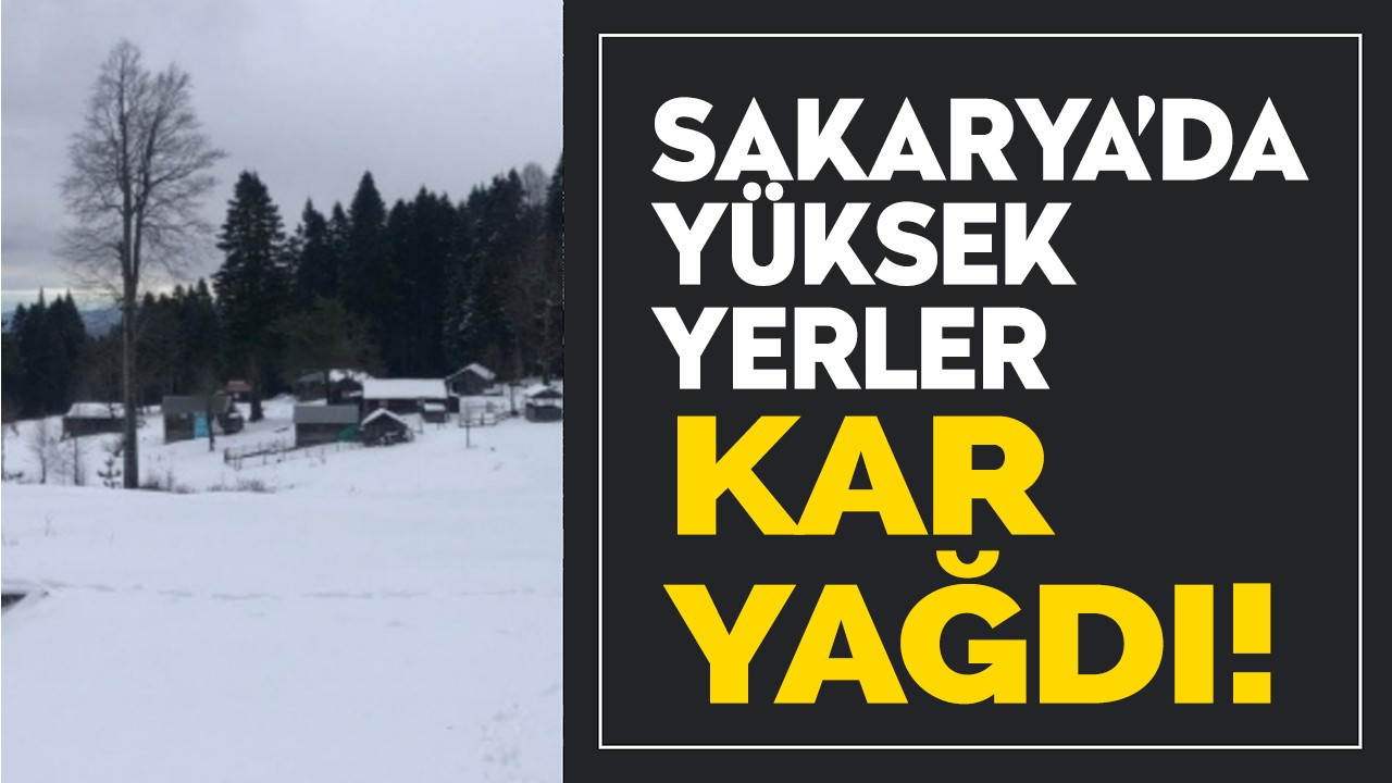 Sakarya'da yükseklere kar yağdı