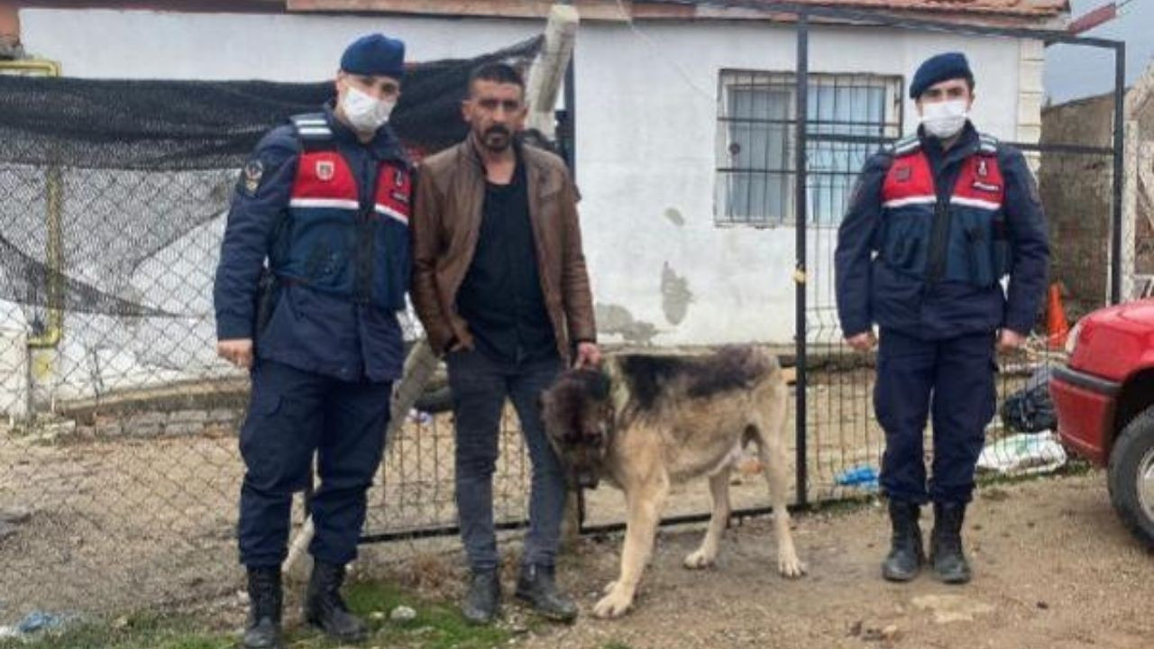 Köpeği çaldı tanınmasın diye siyaha boyadı!