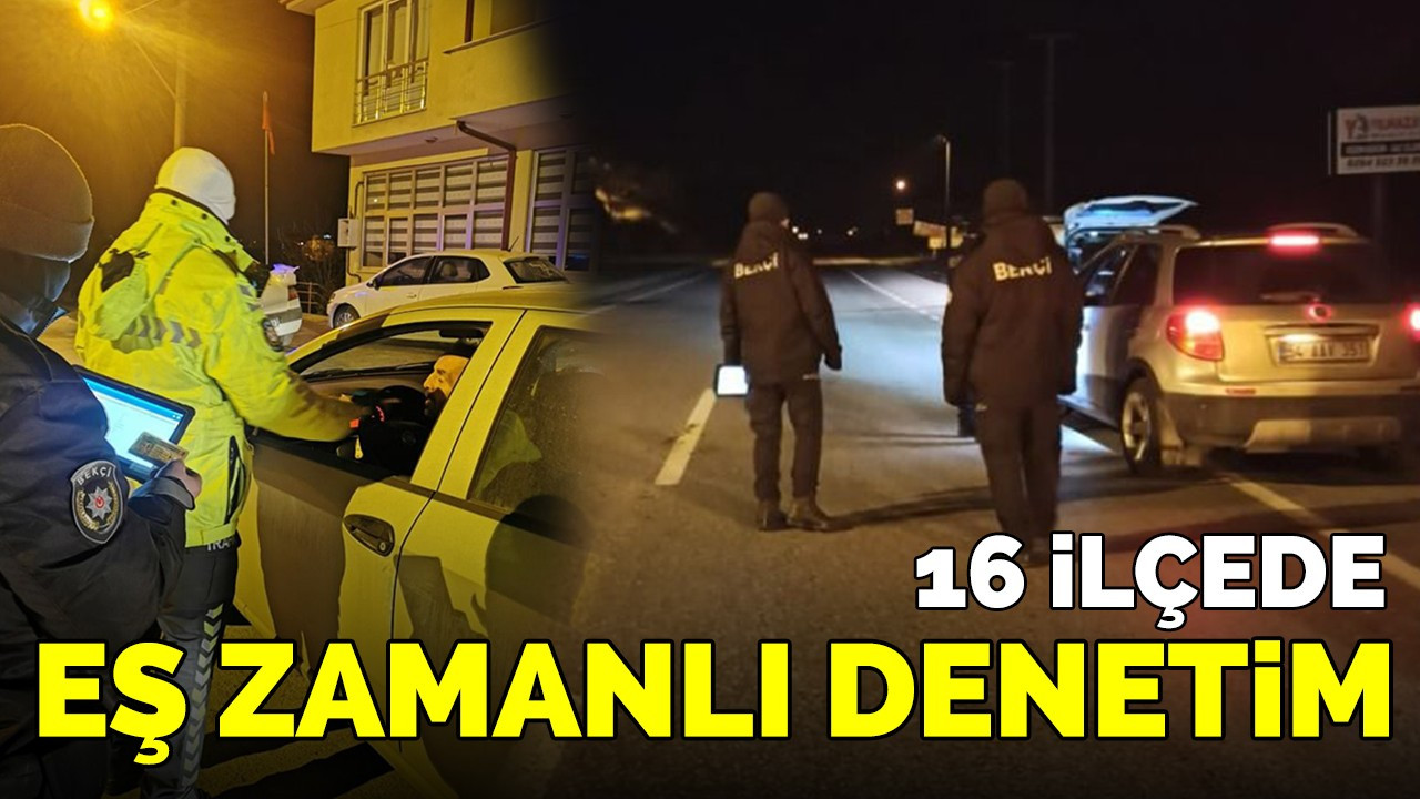 16 ilçede eş zamanlı denetim