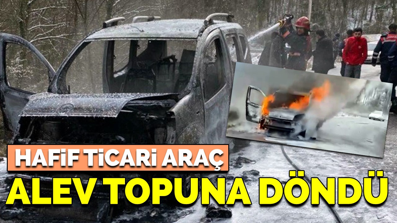 Hafif ticari araç alev topuna döndü