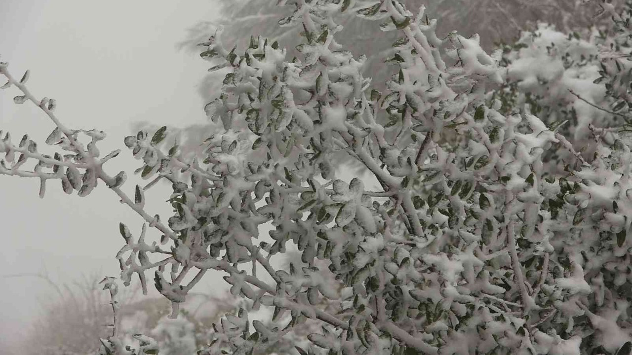 Samandağ’da 10 yıl aradan sonra yağan kar, kartpostallık görüntüler ortaya çıkardı
