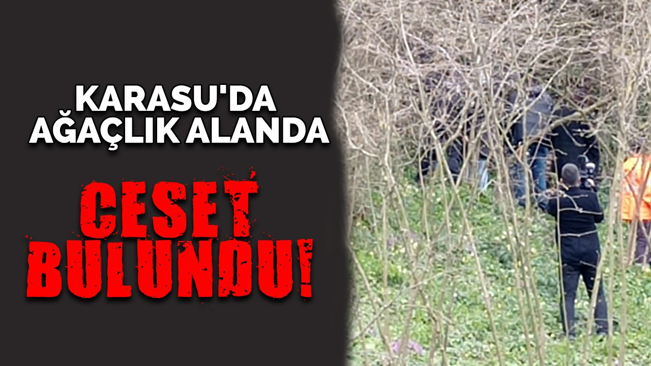 Karasu'da ağaçlık alanda ceset bulundu