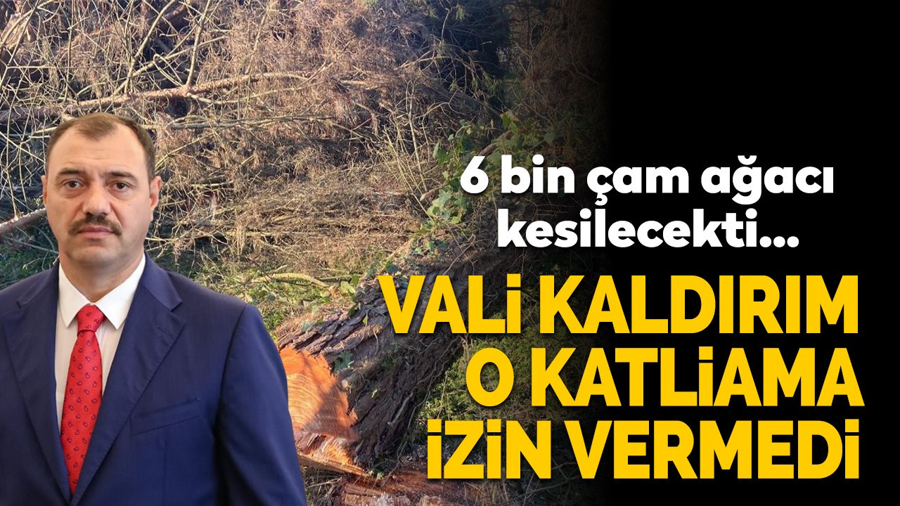 Vali Kaldırım o katliama izin vermedi!