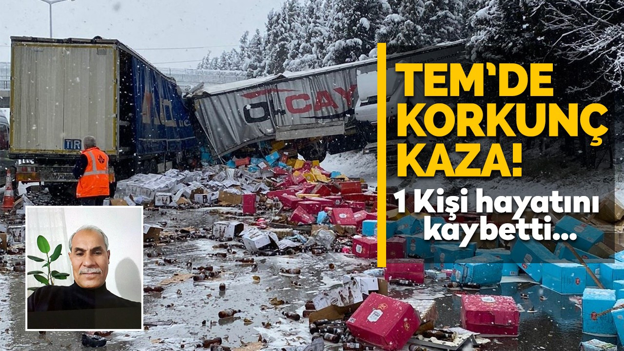 TEM'de korkunç kaza! 1 kişi hayatını kaybetti