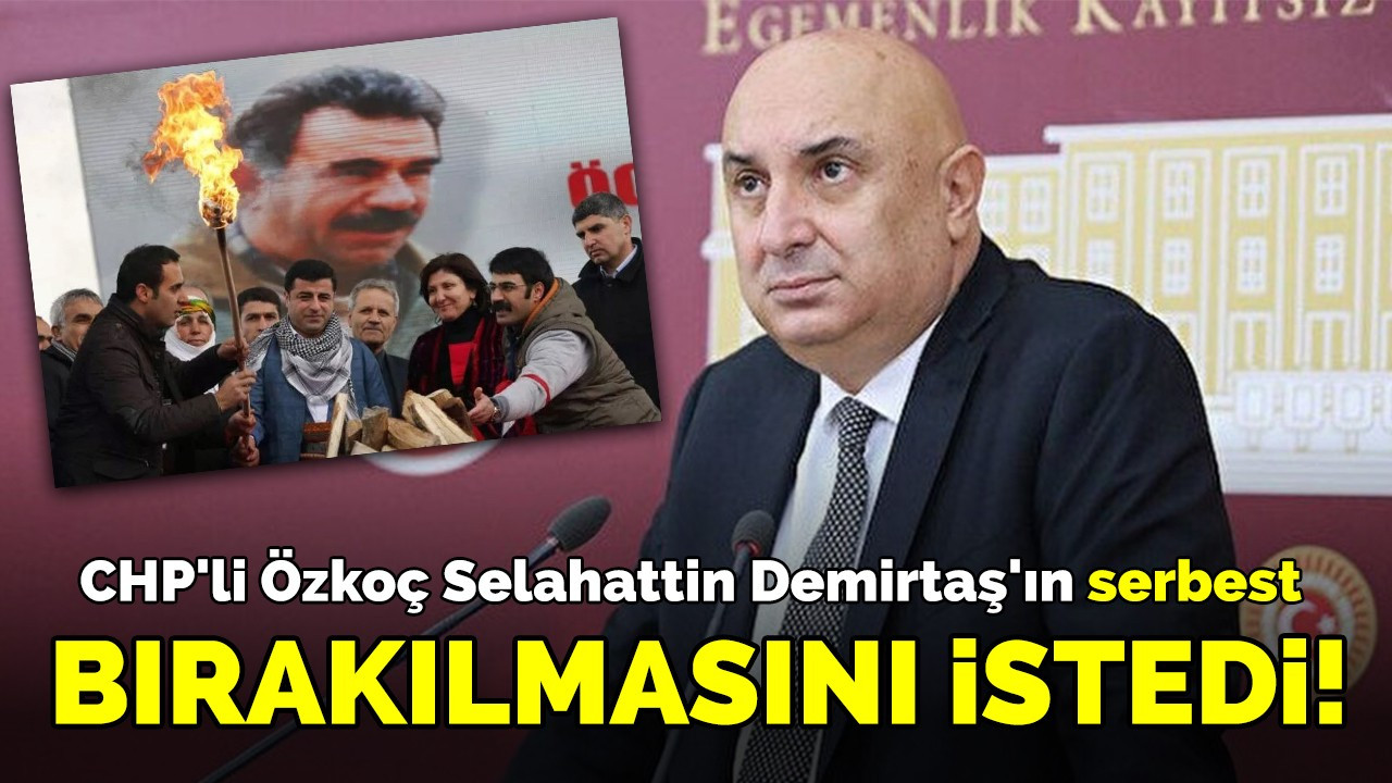 CHP'li Özkoç Selahattin Demirtaş'ın serbest bırakılmasını istedi!