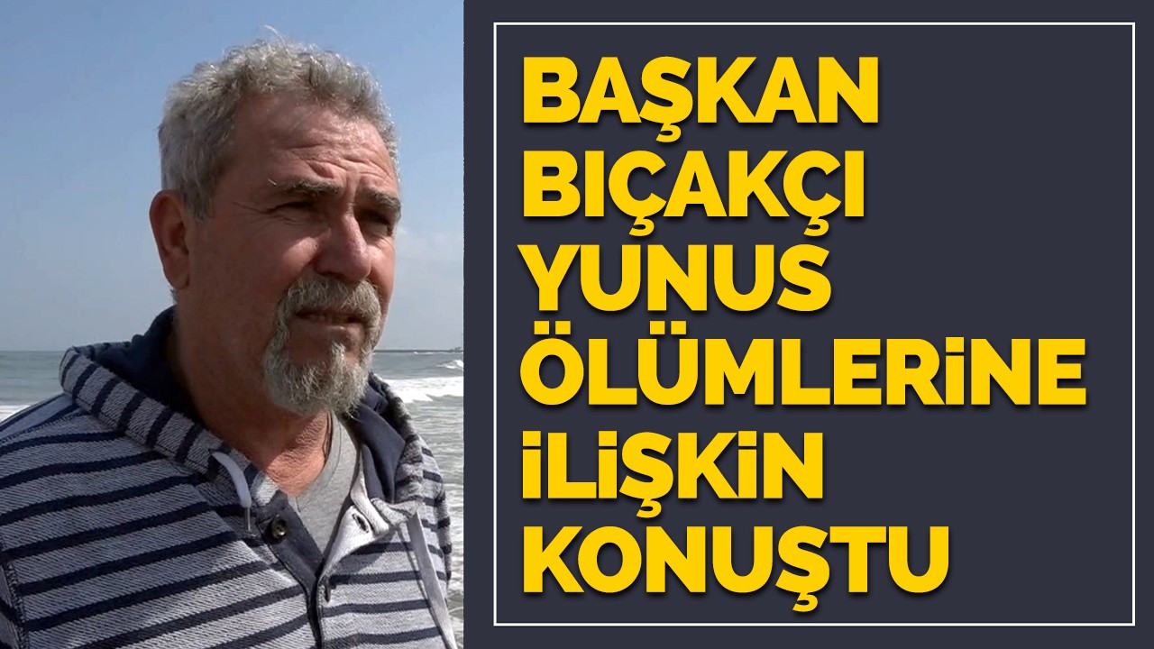 Su Ürünleri Kooperatifi Başkanı Bıçakcı, yunus ölümlerine ilişkin konuştu