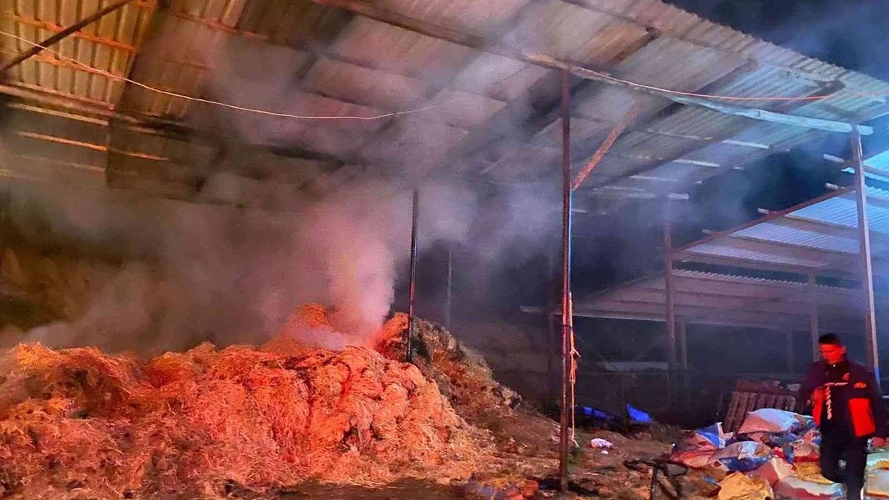 Manisa’da besi çiftliğinde yangın