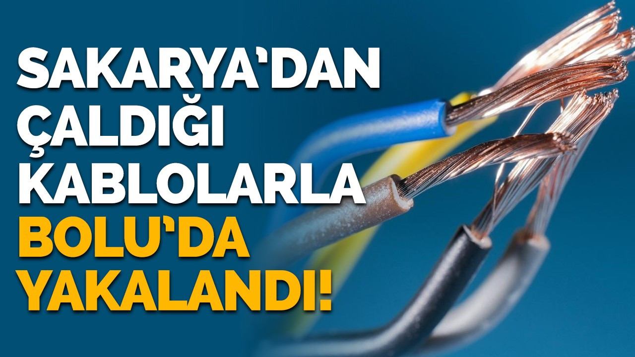 Sakarya’dan çaldığı kablolarla Bolu’da yakalandı