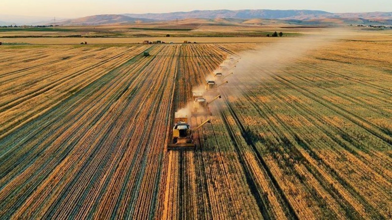 Çiftçilere güzel haber! Bugün hesaplara yatıyor