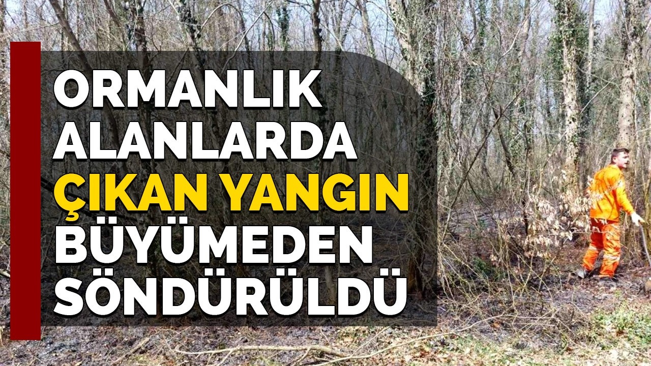 Ormanlık alanlarda çıkan yangın büyümeden söndürüldü