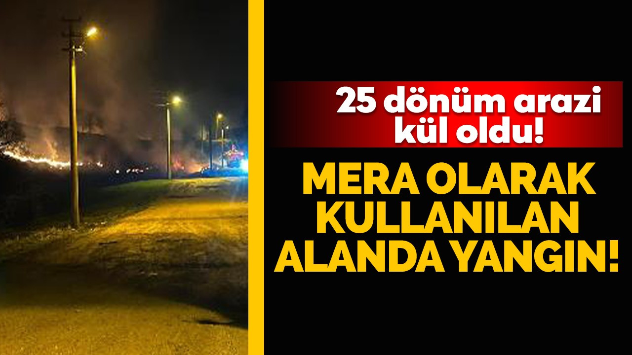 Mera olarak kullanılan alanda yangın çıktı, 25 dönüm arazi kül oldu